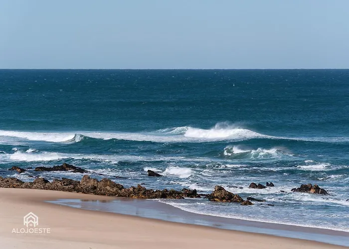 The Terrace - 산타 크루즈